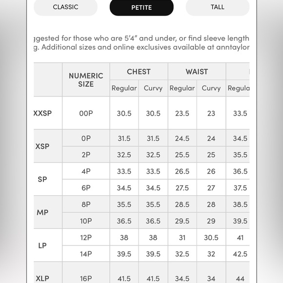 ANN TAYLOR FLOWY CHIFFON MAXI DRESS SIZE 6P NWT - Picture 5 of 5